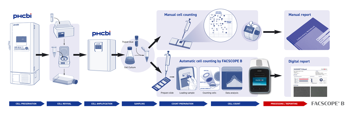 FACSCOPE® B Workflow