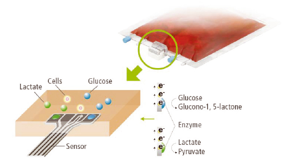 Licellgrow - Cell-expansion-system
