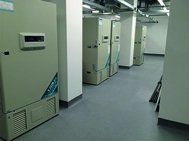 Liverpool Biobank facility