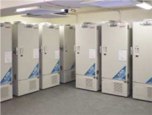 Zamrażarka MDF-U53V na uniwersytecie w Sheffield