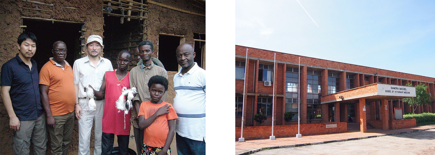 Zoonosis research linking Japan and Africa