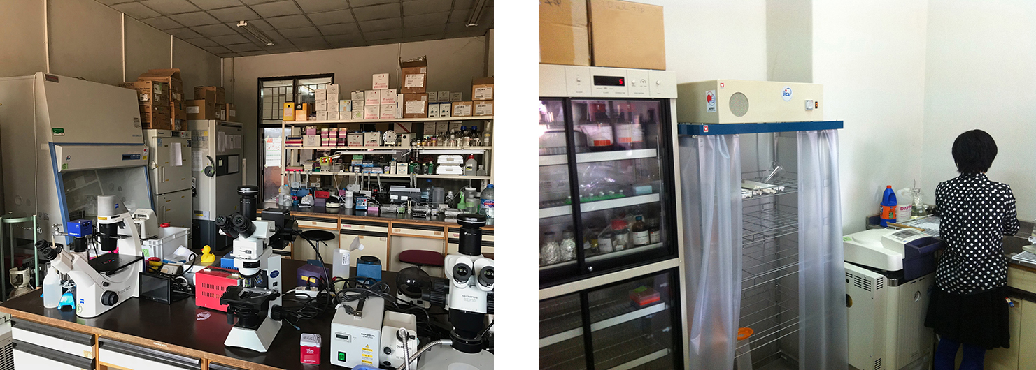 PHCbi products used in zoonosis research
