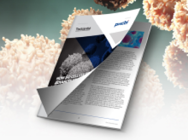 HOW 3-D CELL CULTURE ADVANCES SCIENTIFIC DISCOVERY? | PHCbi