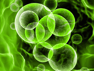 Troubleshoot cell growth | PHCbi