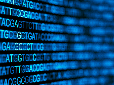 バイオインフォマティクスとは