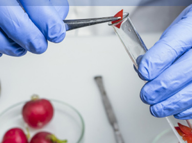 食品微生物学の知見をHACCPに活用するために