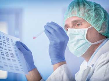 細胞分裂周期のインビボレベルにおける新たな知見