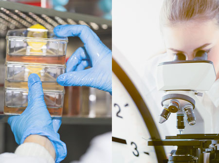 培養細胞の交換ダウンタイムを減らすには？