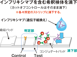 インフリキシマブを含む希釈検体を滴下