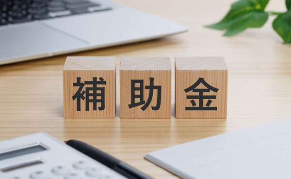【薬局向け】電子薬歴は対象?「デジタル化・AI導入補助金2026」を解説