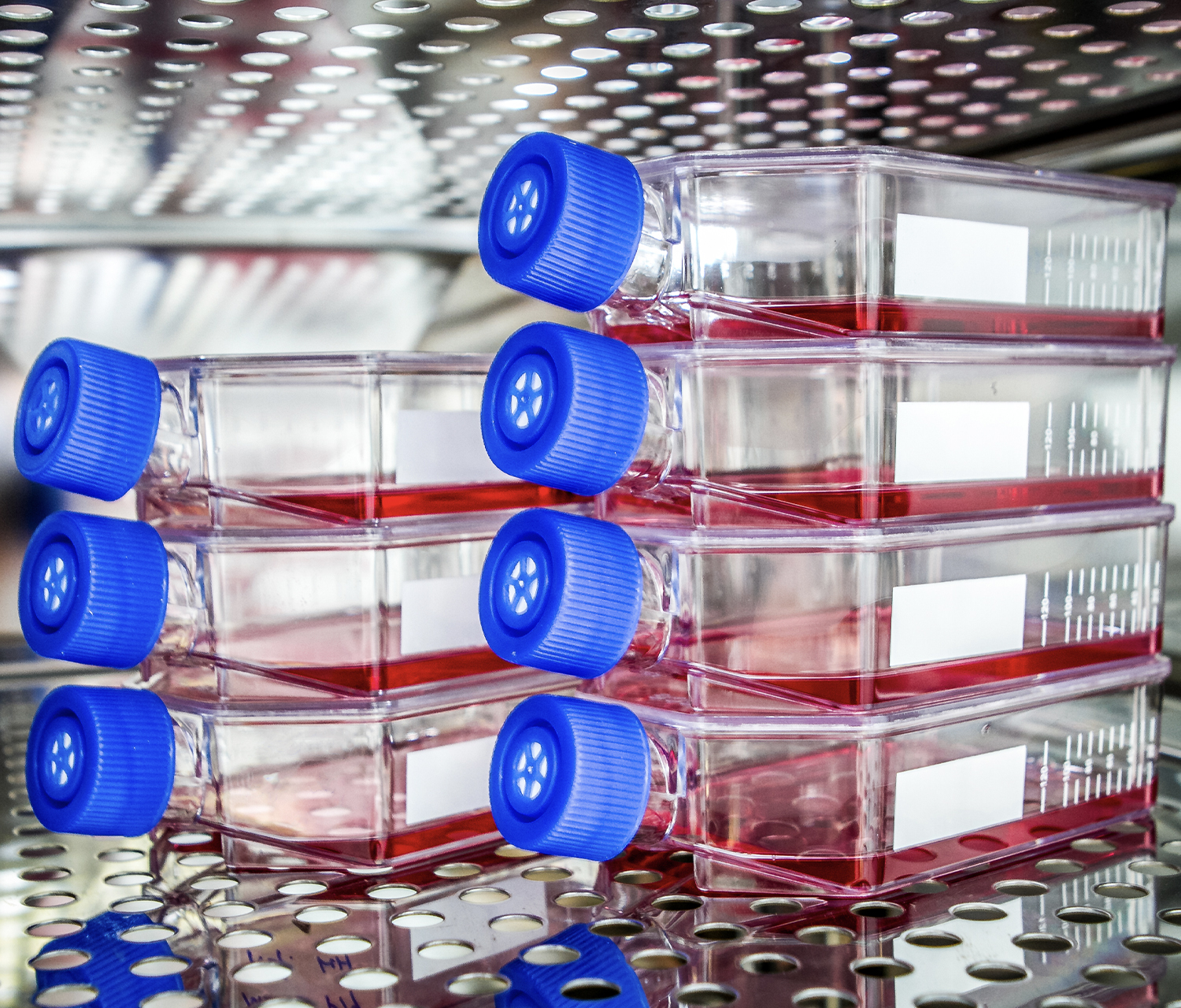 Cell culture equipment from a co2 incubator