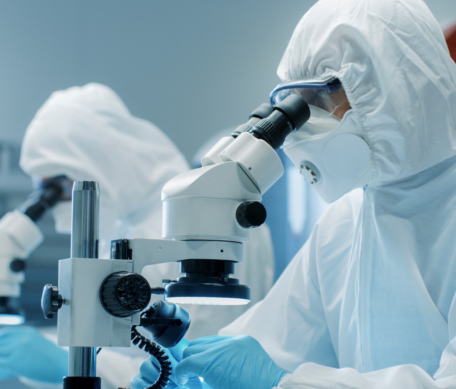 Specimen being examined in a clean room