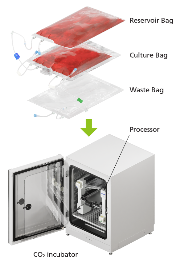 monitoring of the cell culture process