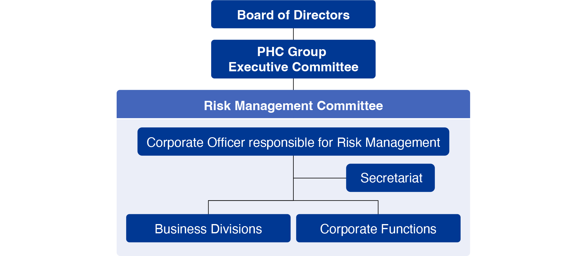 PHC Group Risk Management Structure