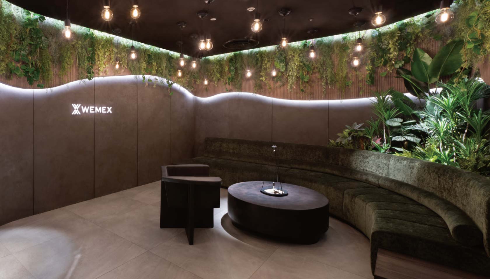 Wemex(Healthcare IT Solutions Division)