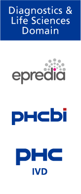 Strengthening Business Foundations