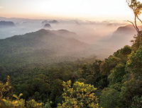 Forest Preservation in Bolivia